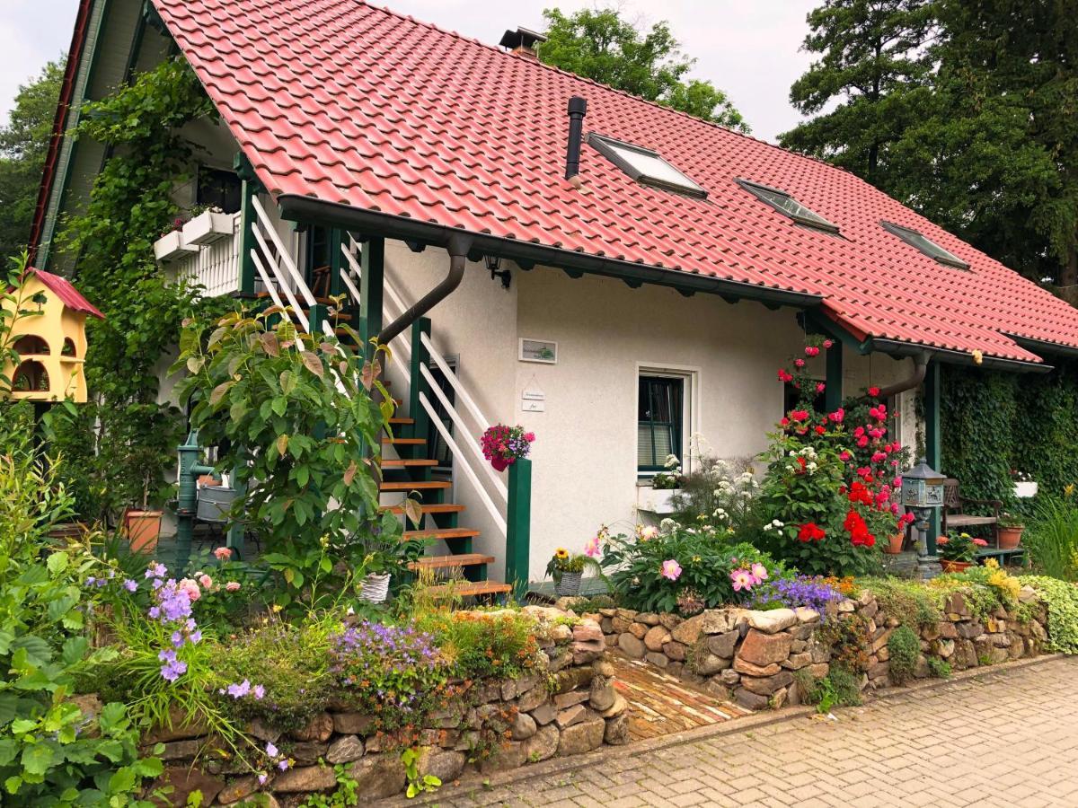 Ohrenfeld Ferienwohnung An Der Foersterei מראה חיצוני תמונה